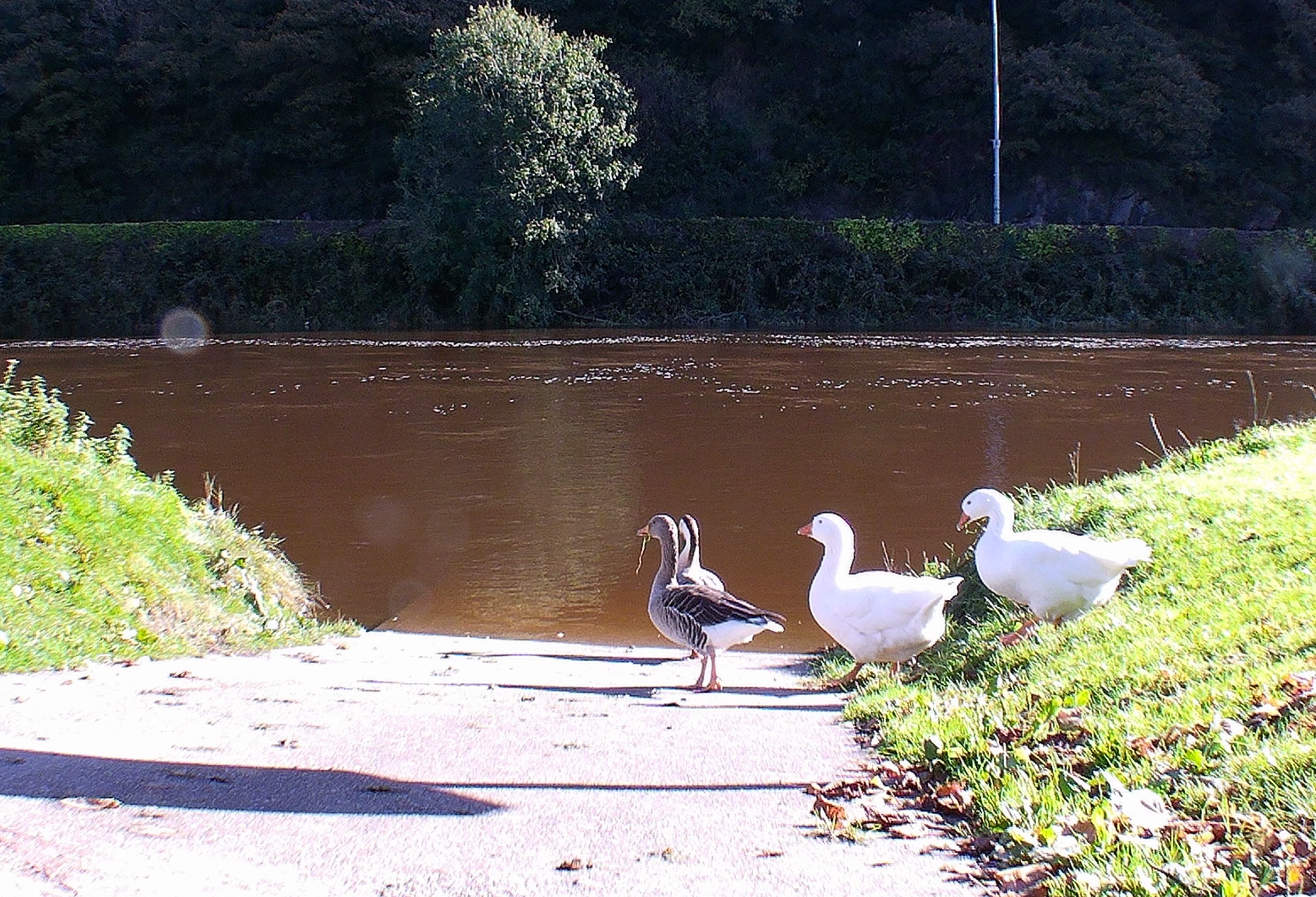 Boil Water Notices for Gorey, Enniscorthy and Wexford town